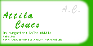 attila csucs business card